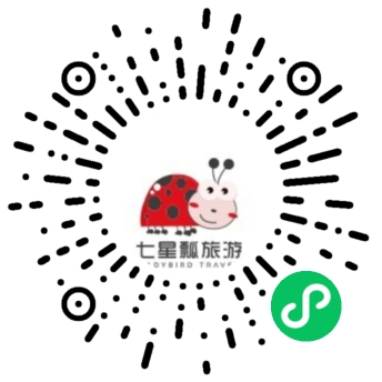 Mini Program
